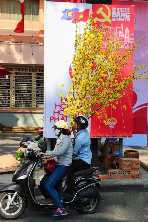 Trong những ngày cuối năm, tại thành phố Hồ Chí Minh đầy nắng ấm, nhiều người đã tìm mua mai về bày Tết.